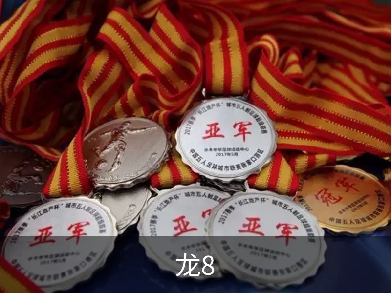 龙8介绍